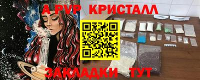 шишки Будённовск