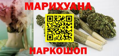 шишки Будённовск