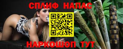 шишки Будённовск