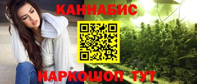 шишки Будённовск