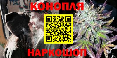 шишки Будённовск